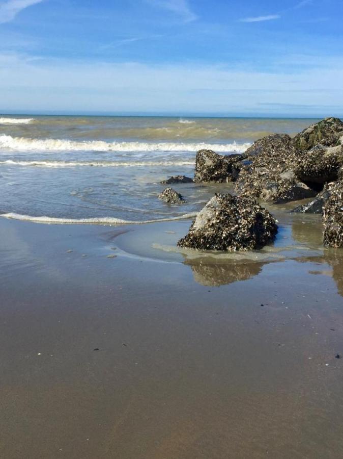 Beachstudio Westende With Sea View Middelkerke Bagian luar foto
